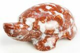 Polished Red Flower Marble Turtle - India #311881-1